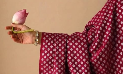 Leaf Pattern Golden Zari on Red Pure Banarasi Silk